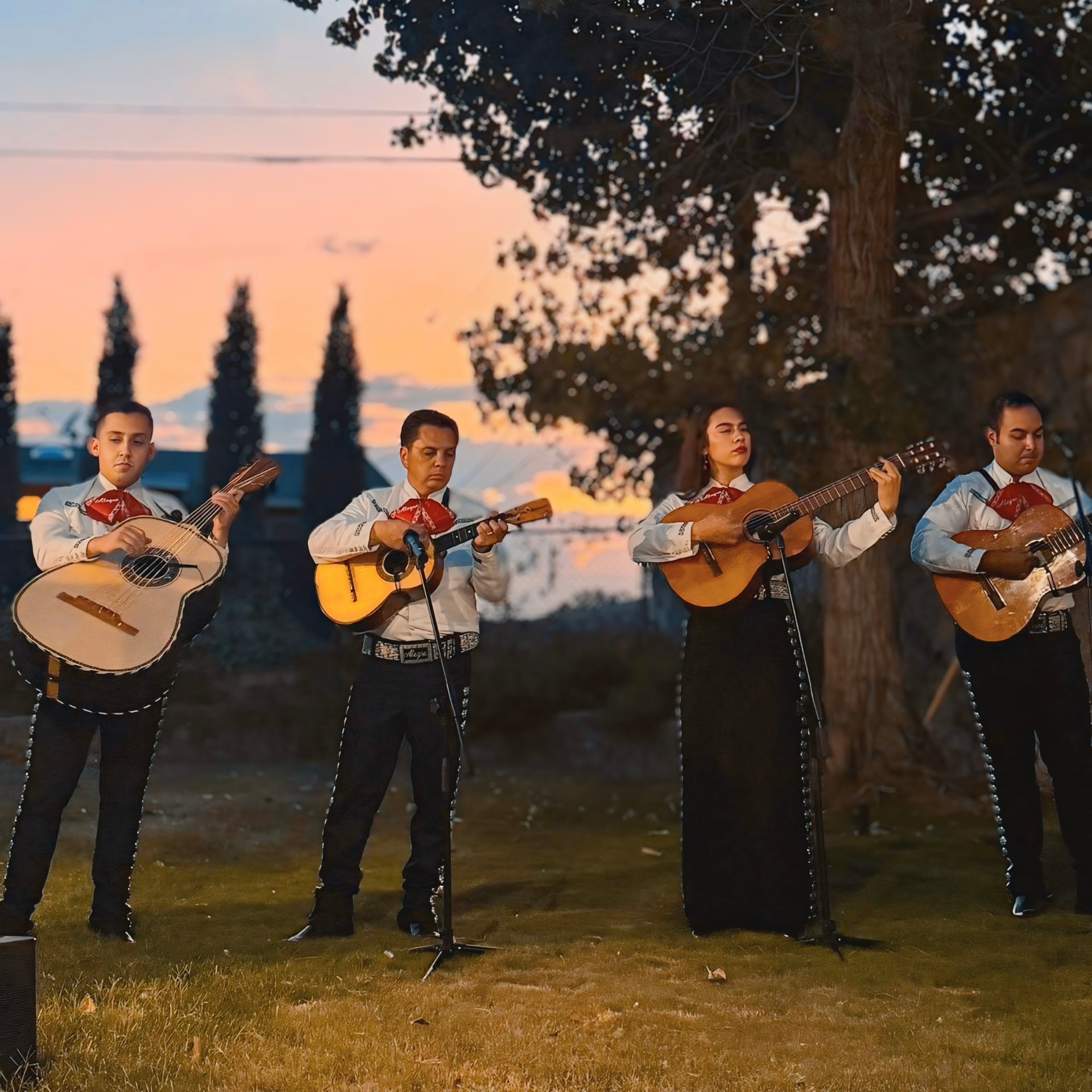 Mariachi Alegre musicians performing at sunset